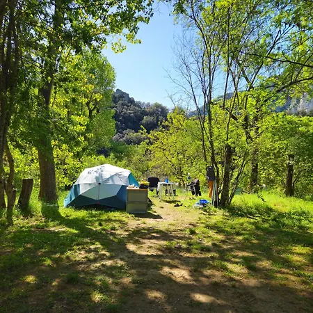Camp Des Gorges - Nature
